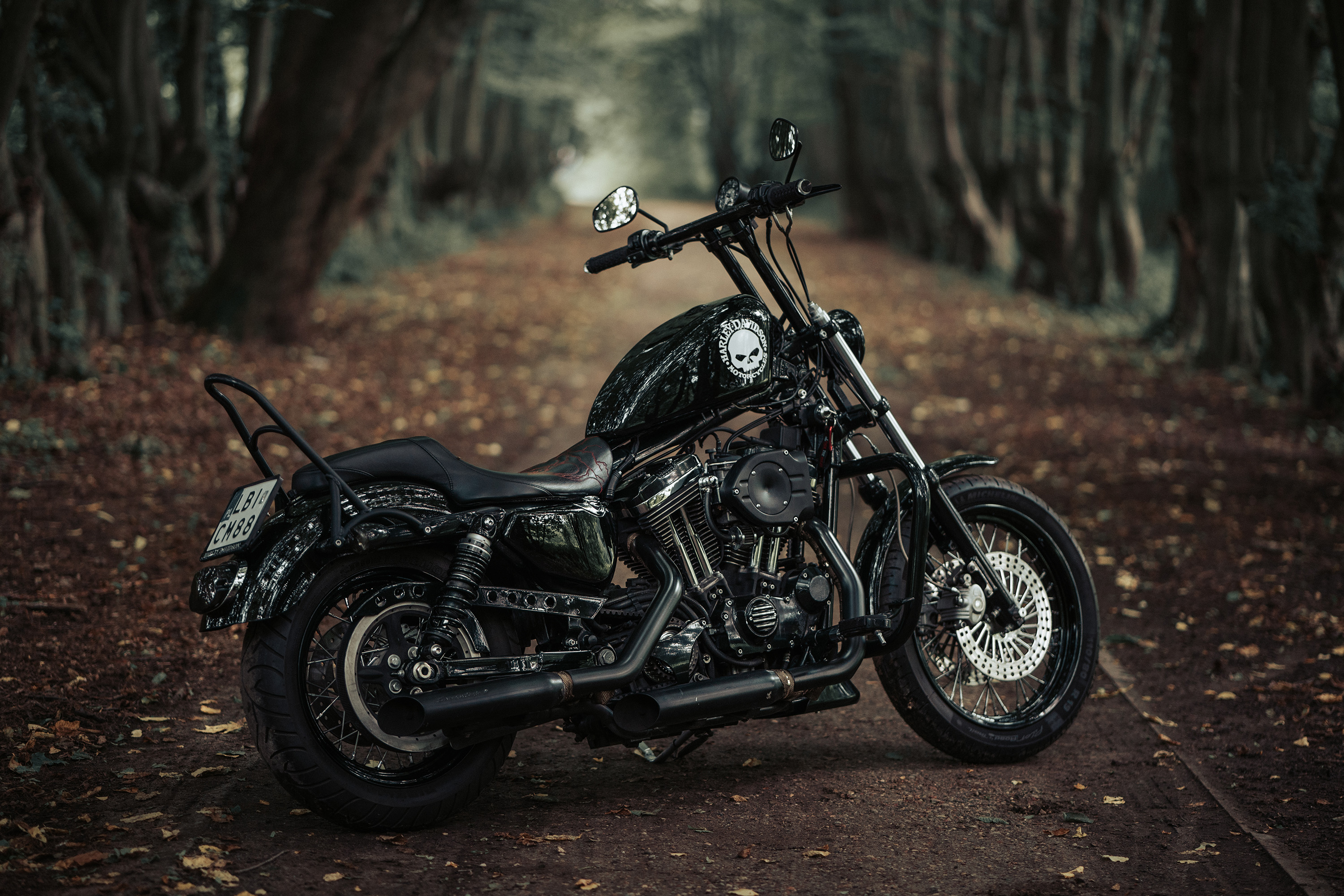 zdjęcie sprzedażowe