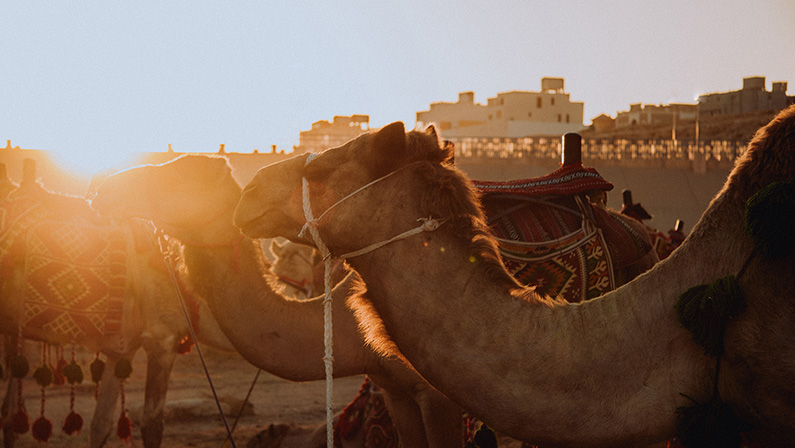 sesja z pracownikami